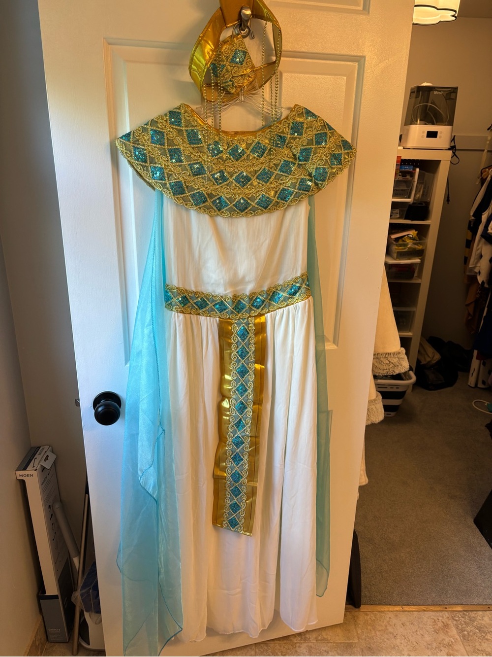 Gold & Aqua Cleopatra Women’s Large Costume Dress with Wig